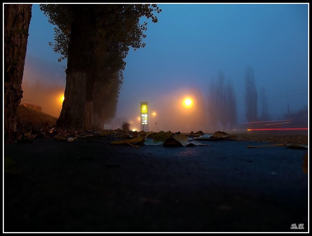 Autumn. Morning. Fog..., Ровно