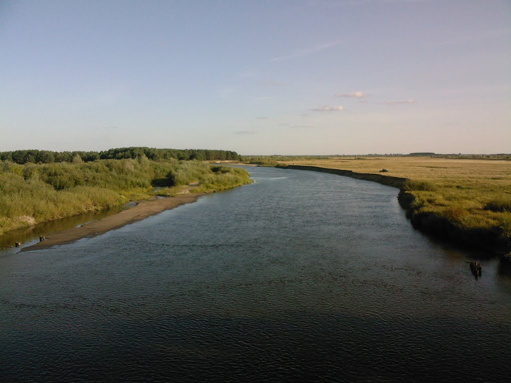 річка Случ, Сарны