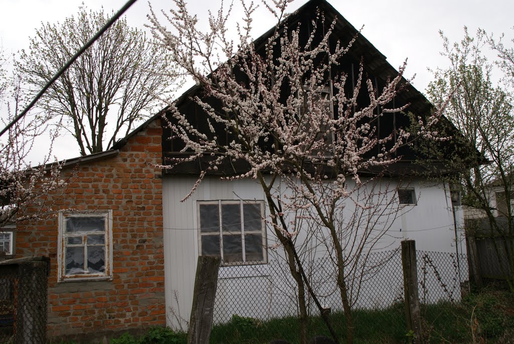 town Voronizh, Воронеж