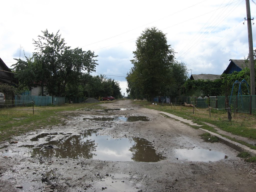 После дождя (улица 40 лет Победы), Воронеж