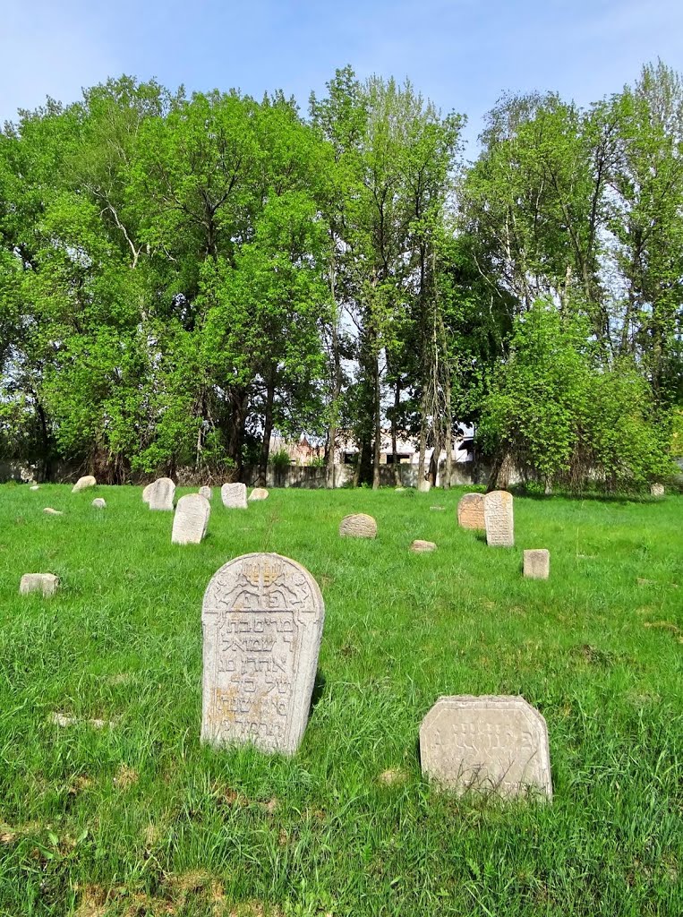 Глухів - старі надгробки, Hluhiv - old jewish cemetery, Глухов - еврейское кладбище, Глухов