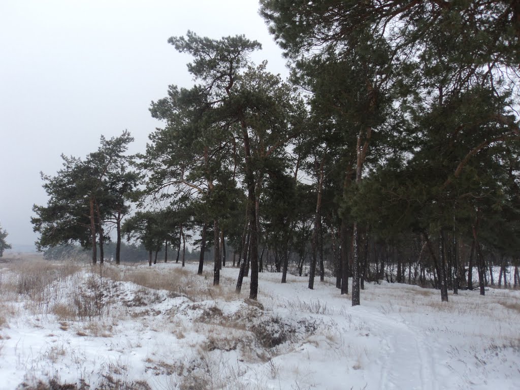 Ліс взимку, Кириковка
