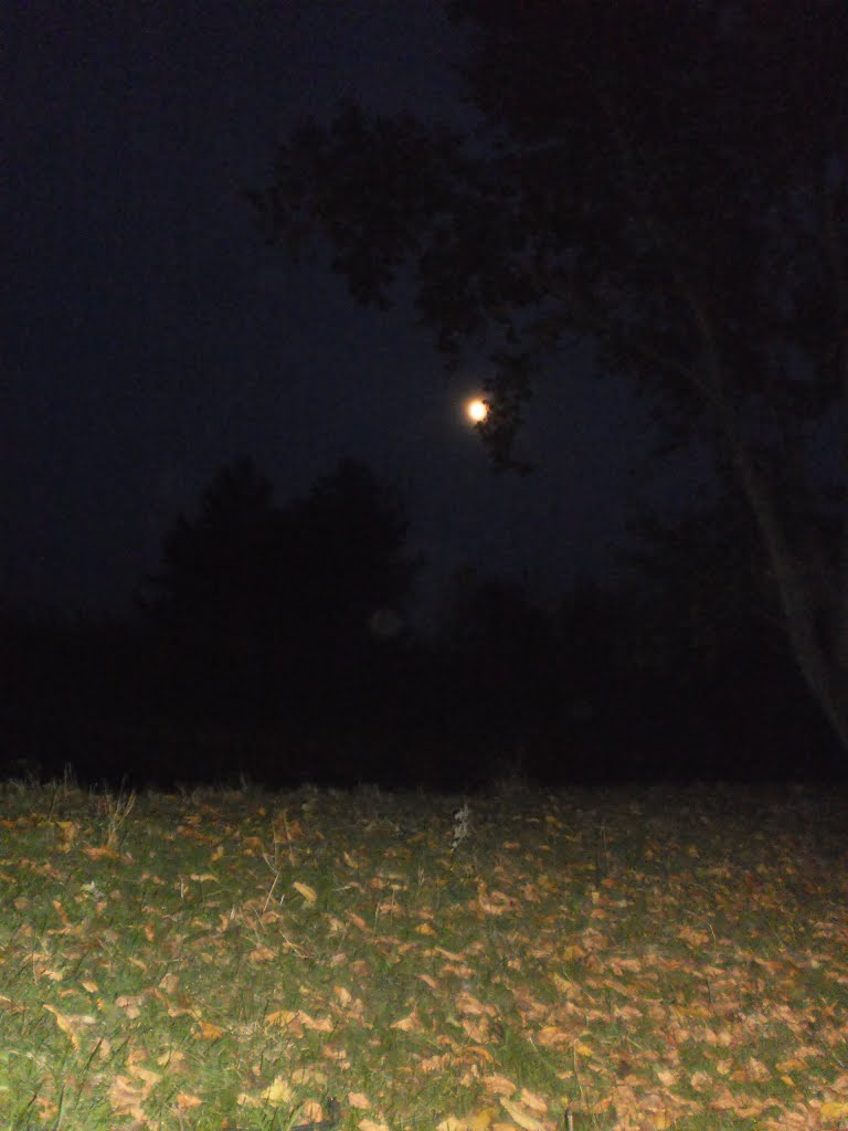 moon, Кириковка