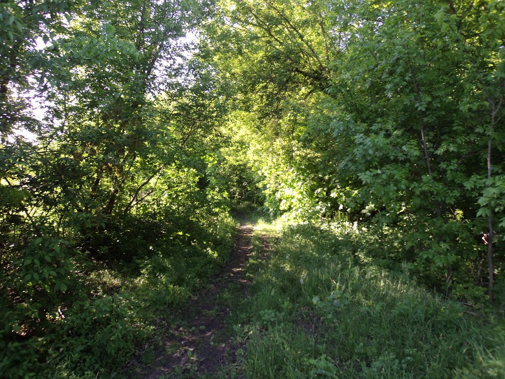 Стара дорога, Кириковка