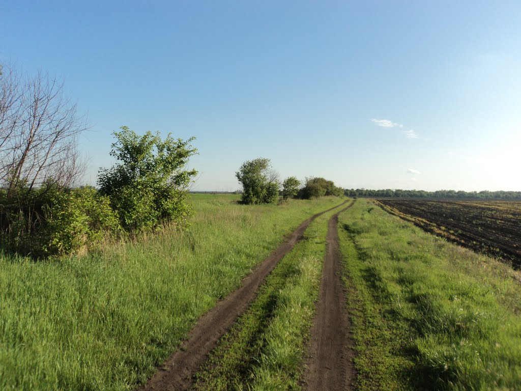 Польовова дорога, Кириковка