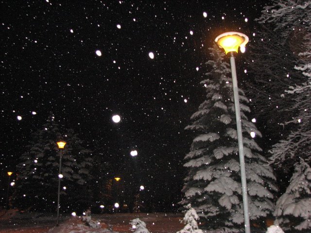 Снегопад, Конотоп