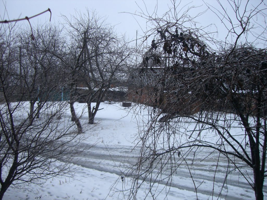 дворик ул.Мезеновская д.15, Краснополье