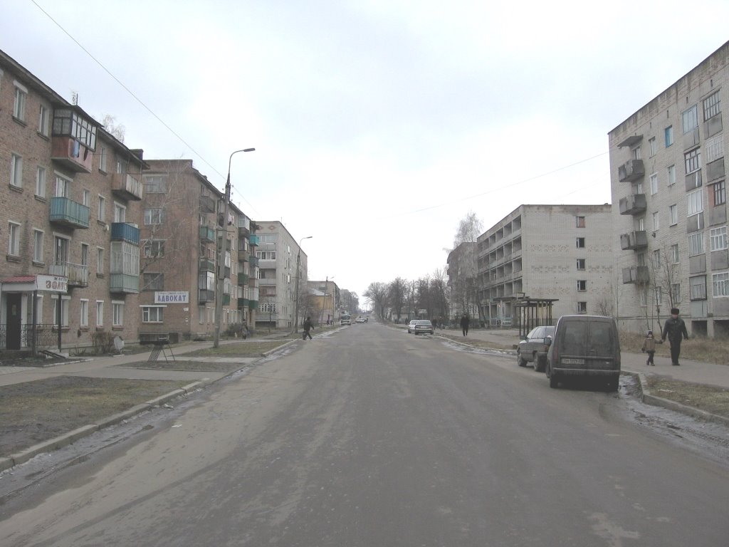 вид на улицу Ленина от круговой развязки., Лебедин