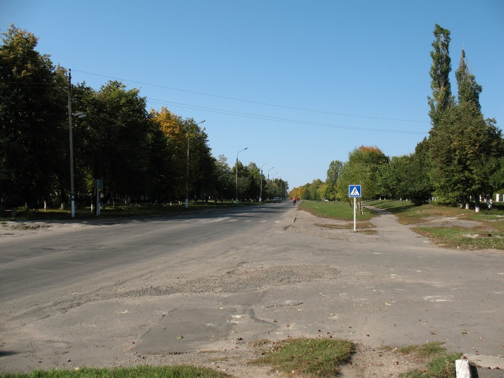 Lipova Dolina, view of the Romenskaya street, Липовая Долина