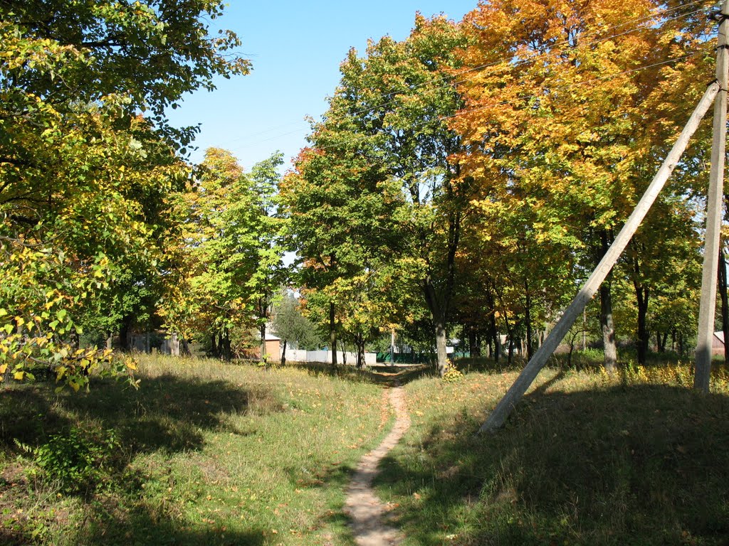 Lipova Dolina, way to the Sportivnaya street, Липовая Долина