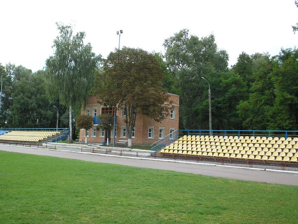 Администрация стадиона, Недригайлов
