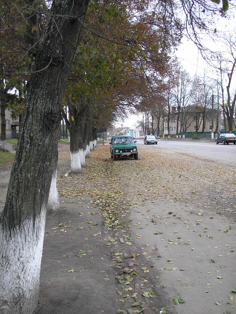 Киевское шоссе, Недригайлов