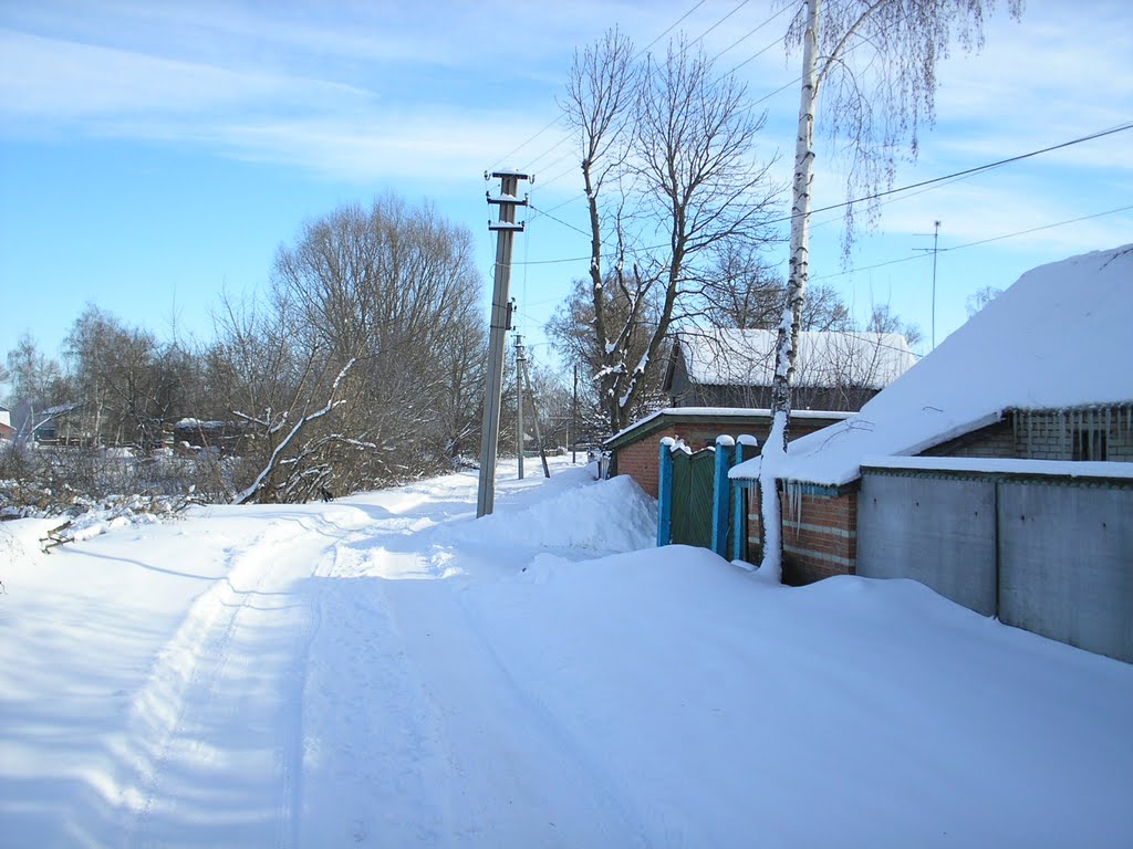 Снежная улица, Недригайлов