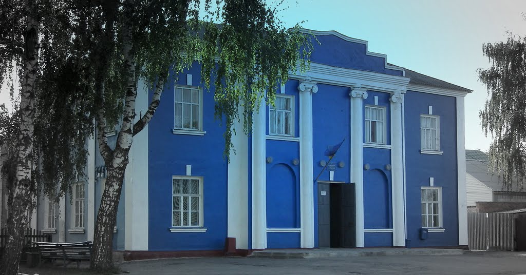 синий  будинок, Недригайлов
