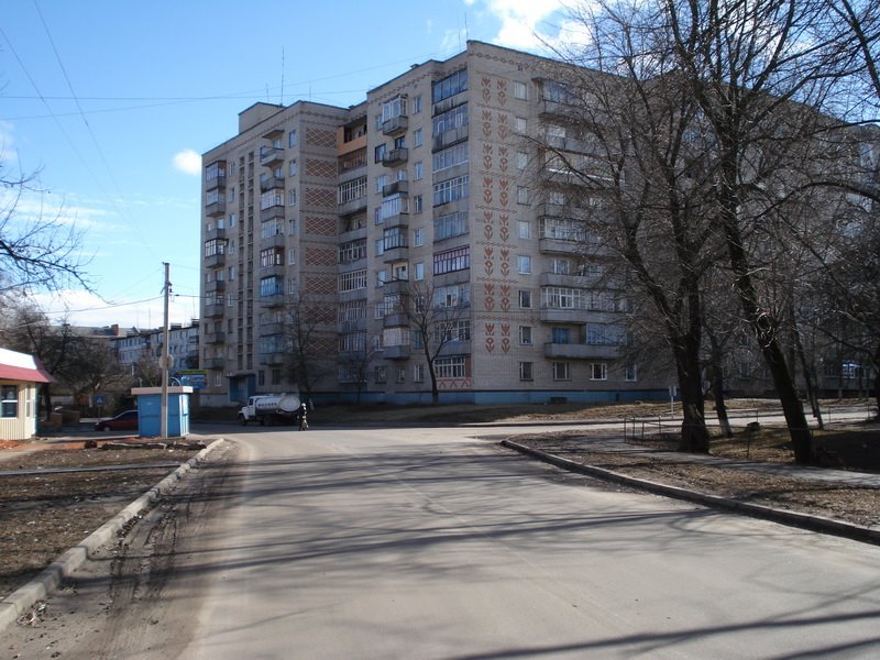 Mayakovskogo street, 67, Ромны
