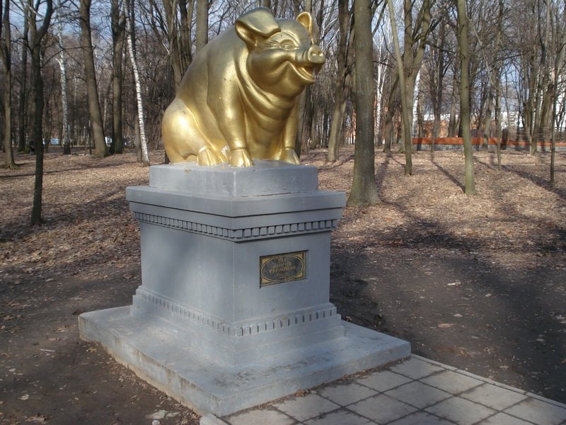 Памятник свині від вдячних українців, Ромны