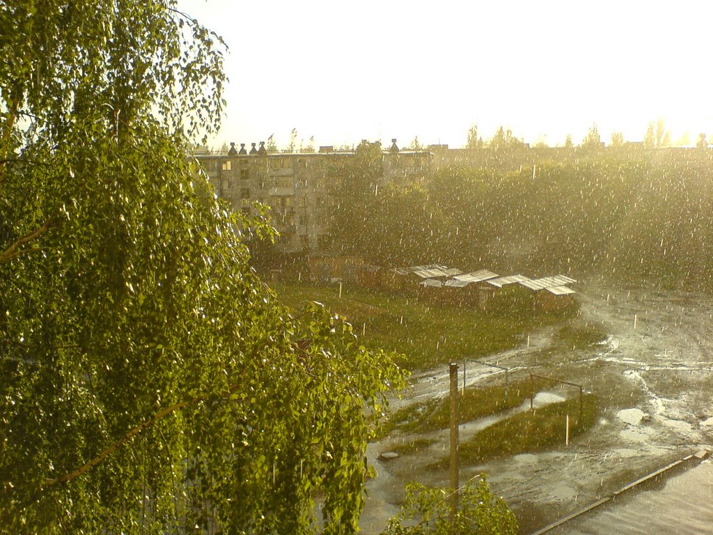 Мой двор, дождь, Шостка