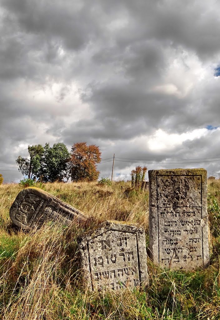 Бережани - старовинні мацеви, Berzhany - jewish cemetery, еврейское кладбище, Бережаны