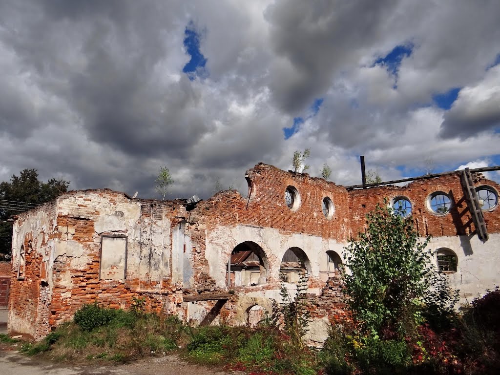 Бережани - руїни синагоги, Berezhany - ruins of synagogue, Бережаны