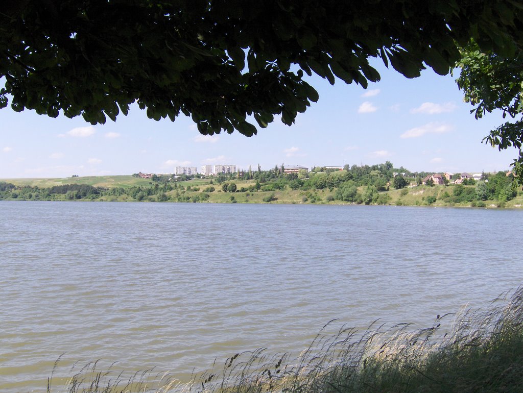 Berezhany Lake in summer 2008, Бережаны
