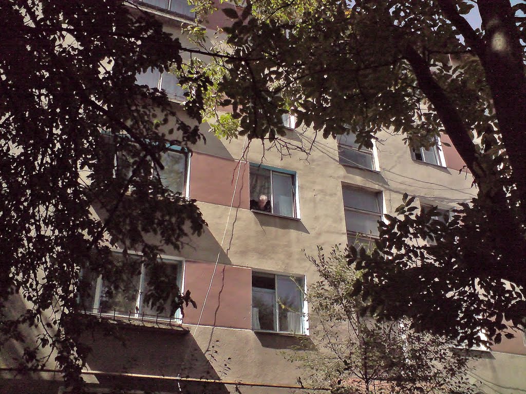 Berezhany , residential buildings ..., Бережаны