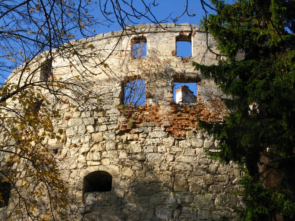 Бережанский замок (1554 г.), Бережаны