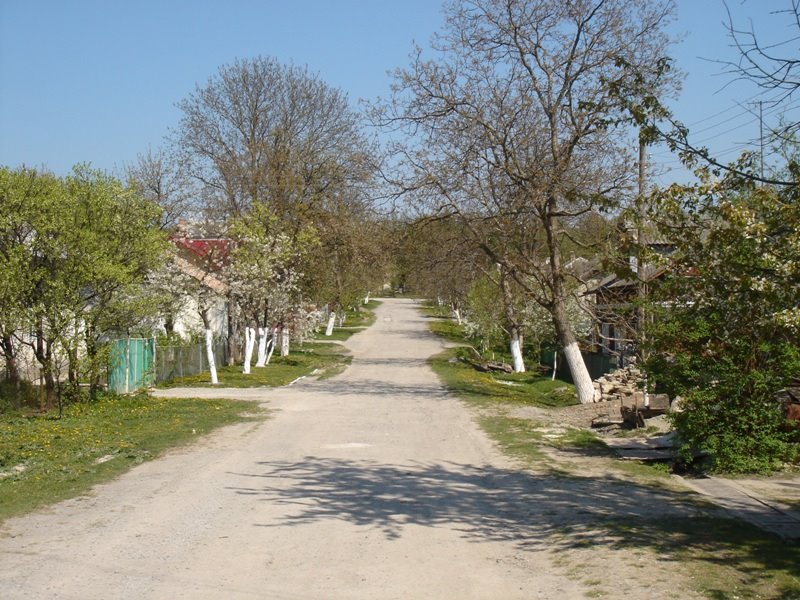 Chornovola street, Борщев