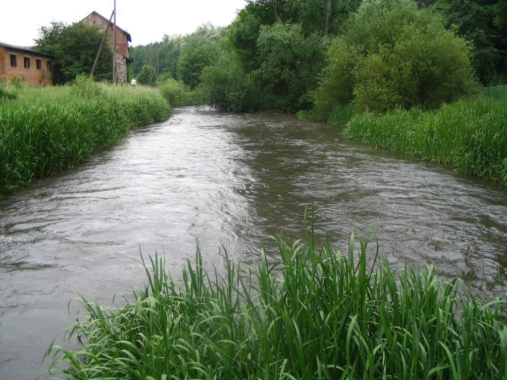 Stypa river, Бучач