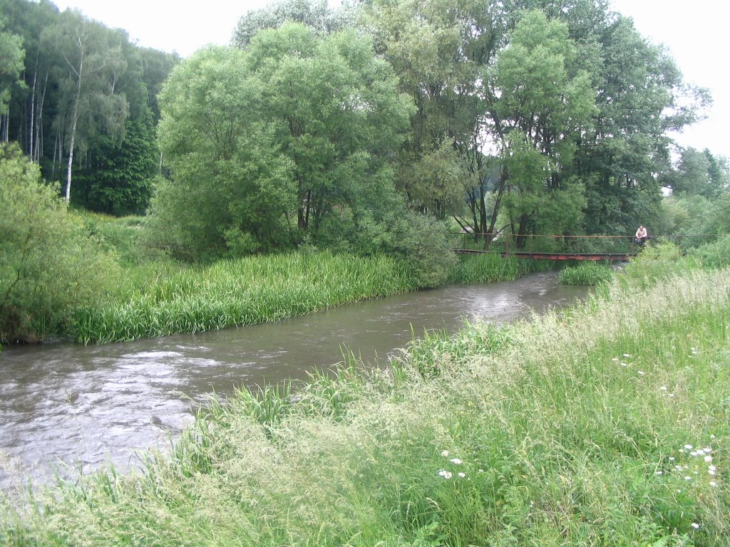 The Strupa river, Бучач