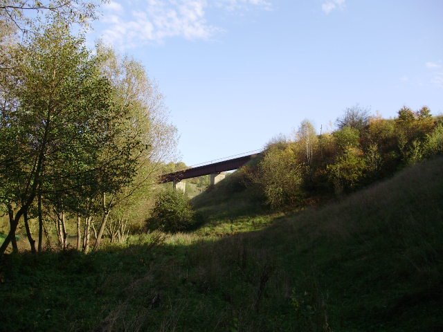 Bridge on river Strypa, Бучач