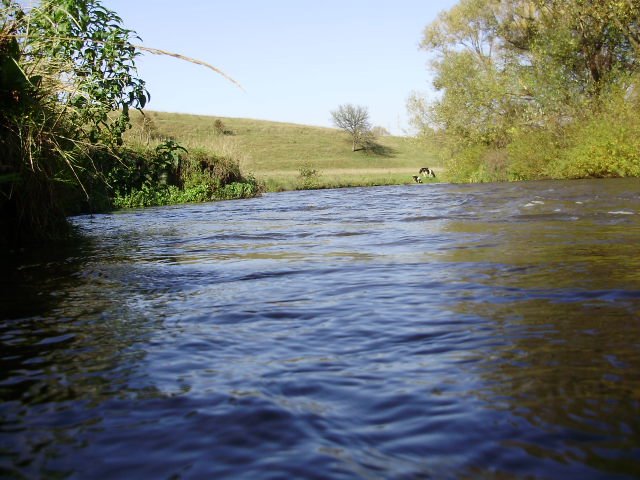 river Strypa, Бучач