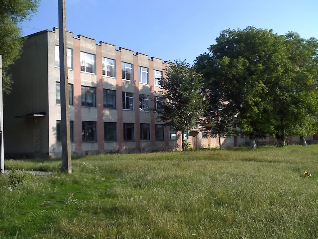Школа з майданчика, 2011, Великие Борки