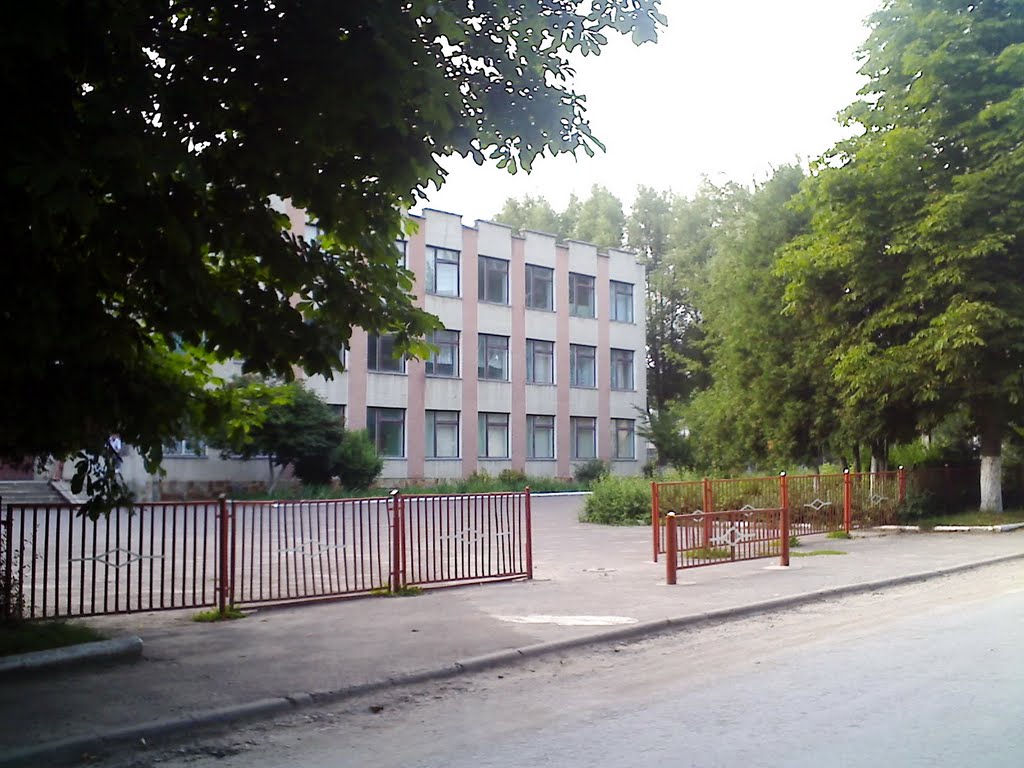 Школа, Великі Бірки, 2011, Великие Борки