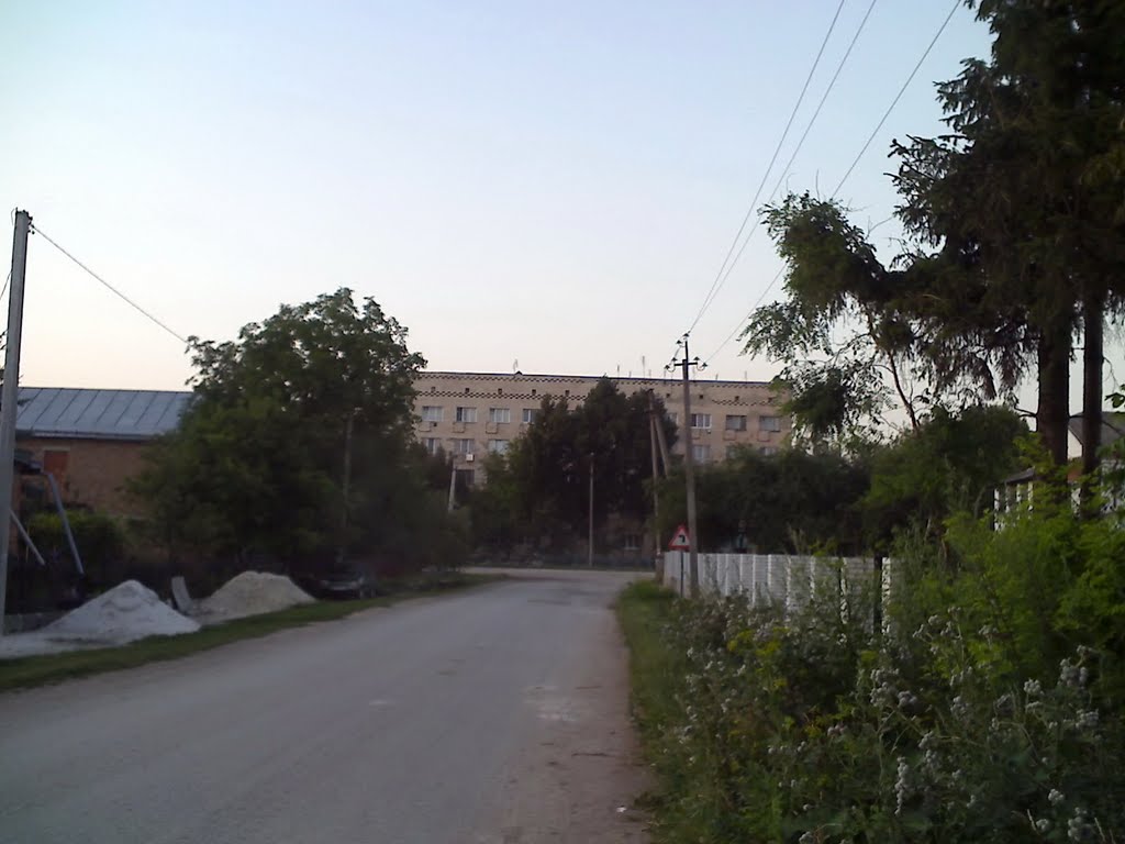 Вид на гуртожиток на вул.Грушевського, Великі Бірки, Великие Борки