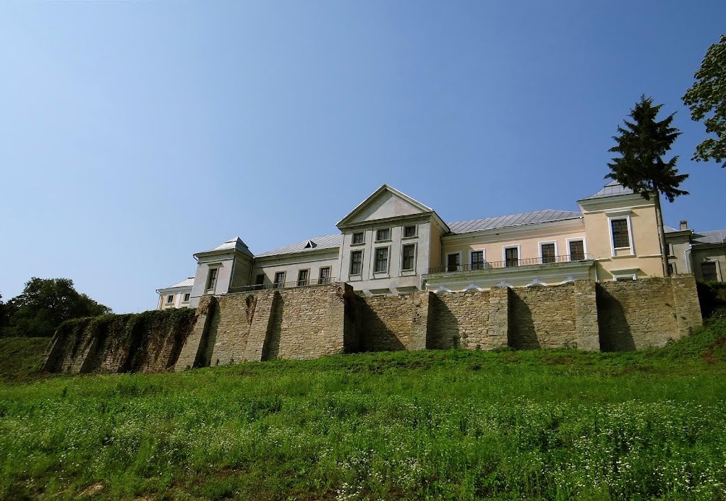 Вишнівецький палац, Vyshnivets Castle, дворец Вишневецких, Вишневец