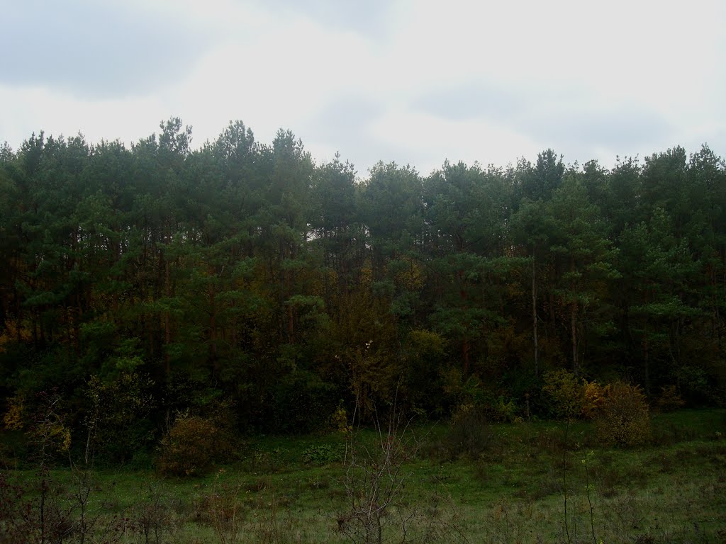 Осенний пейзаж, Гусятин