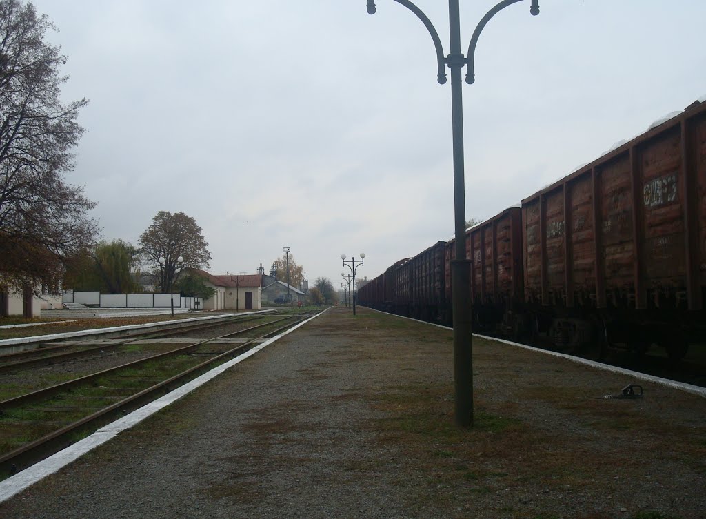 Станция Гусятин. Вторая платформа. Вид в сторону Копычинец, Закупного, Гусятин