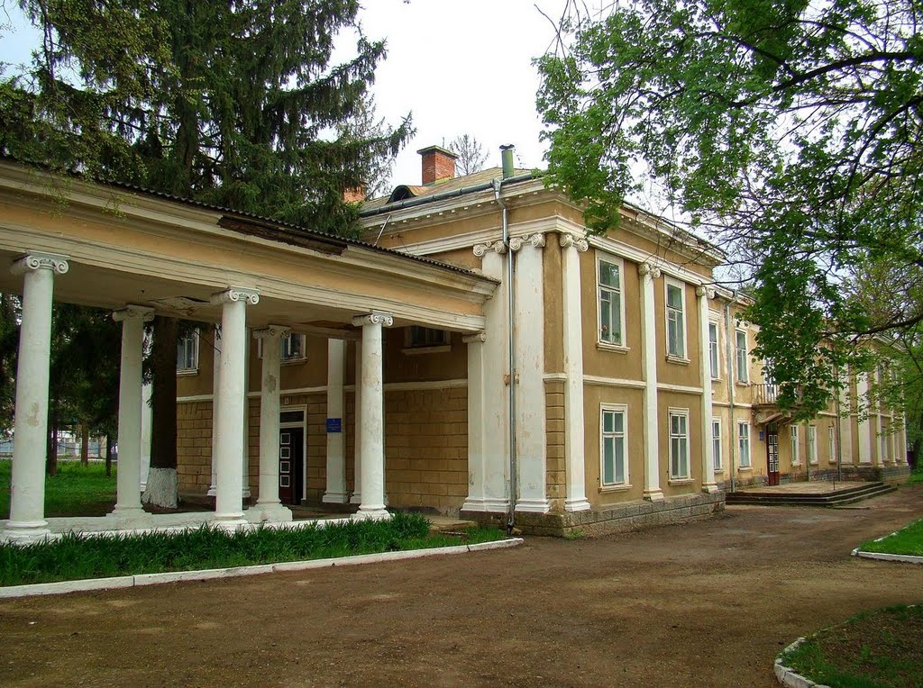 Заліщики - палац баронів Бруніцьких, palace, 1831, Залещики