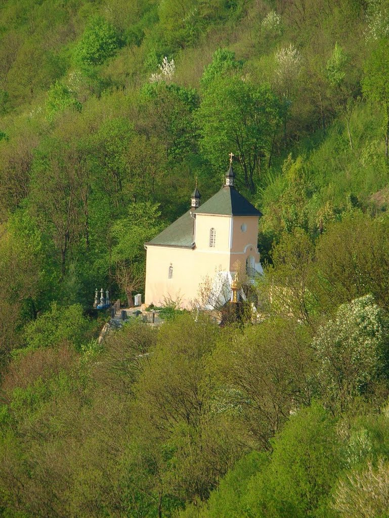 монастир на схилах Дністра, monastery, Залещики