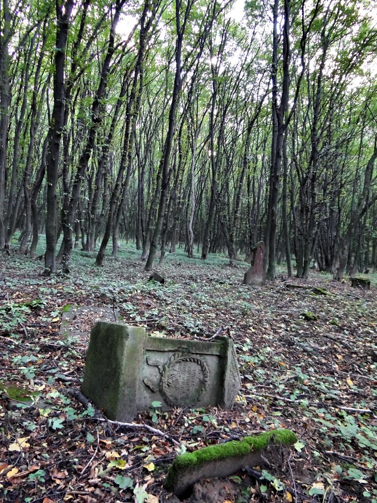 Струсів - старий цвинтар, Струсов - старое кладбище, Заложцы