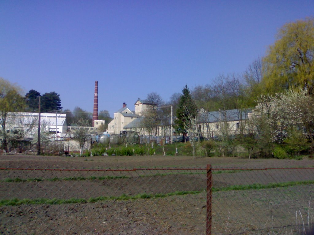 Пивоварня в Микулинцях (Brewery factory in Mikulintsy), Заложцы