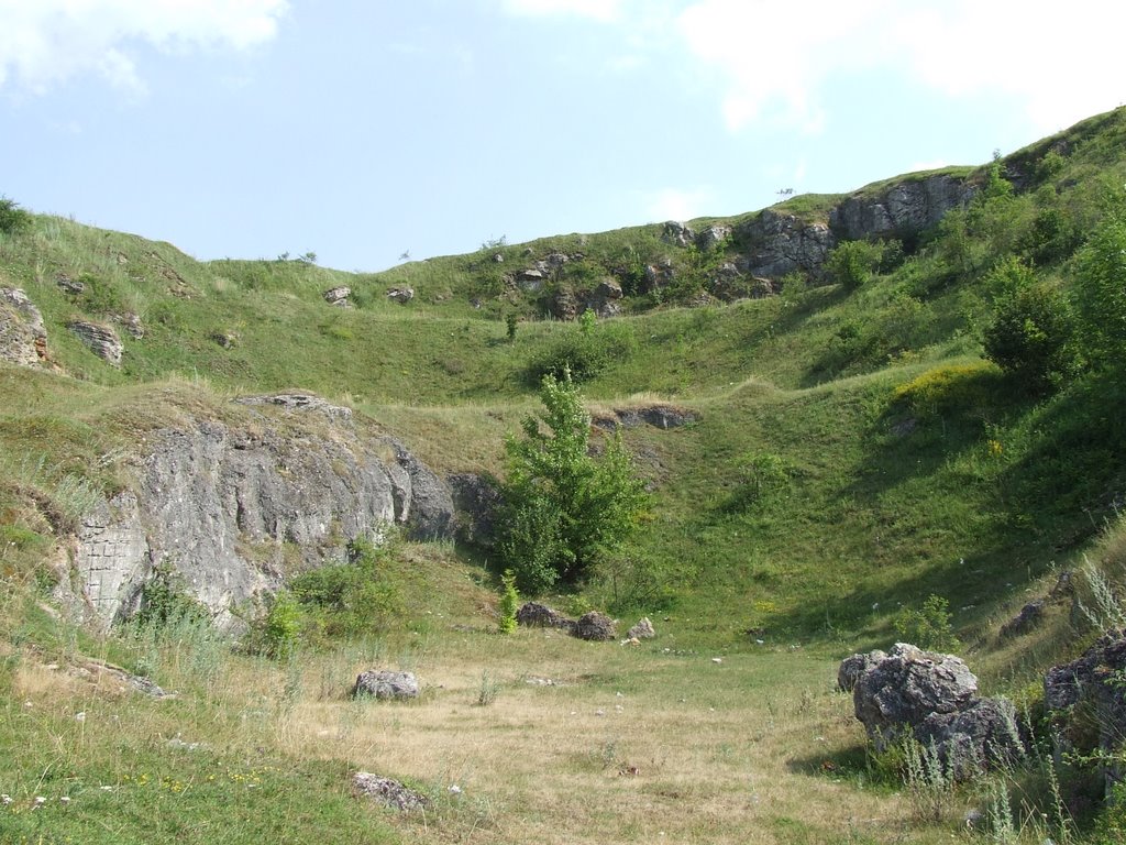 Zbarazh - ruins of old fortress, Збараж