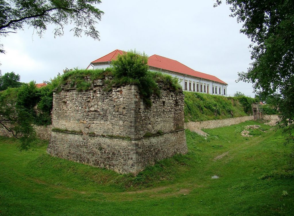 Башта Збаразького замку, tawer of the Zbarazkyi Castle, Збараж