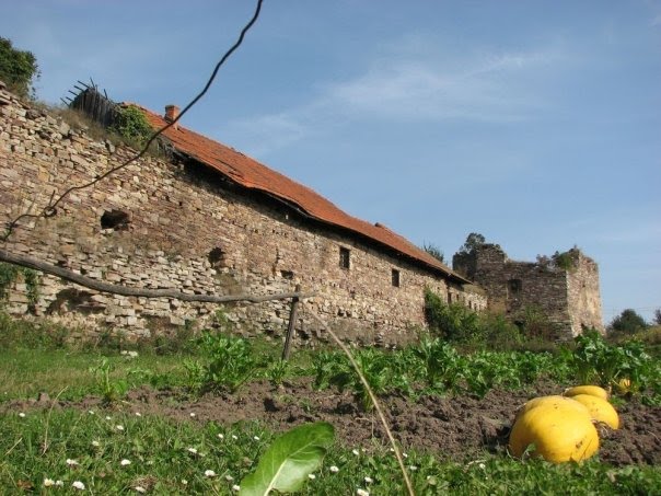 Ruins of the Castle in Zolotyi Potik, Buchach district, Ternopil region, Ukraine, Золотойпоток