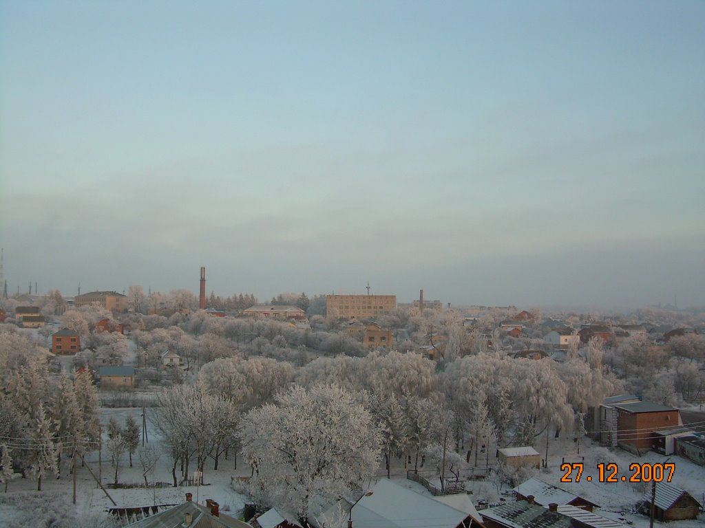 Kozova in snow, Козова