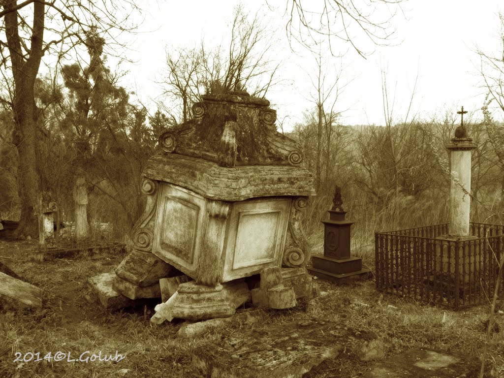 **Old cemetery, Kremenets 19th century** Старий цвинтар 19 ст, Кременець, Кременец