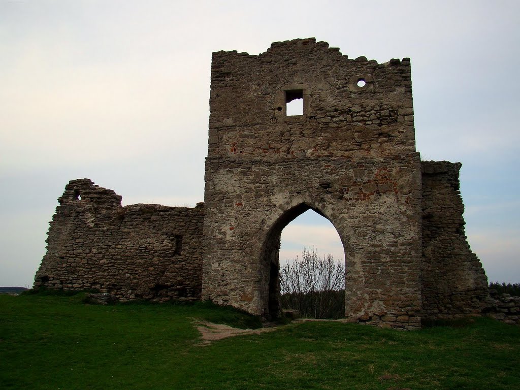 ворота  Кременецького замку, gates of the Kremenets castle, Кременец