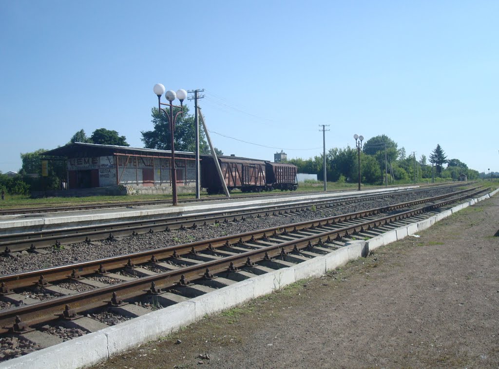 Станция Лановцы. Первая платформа. Вид в сторону Лепесовки, Лановцы