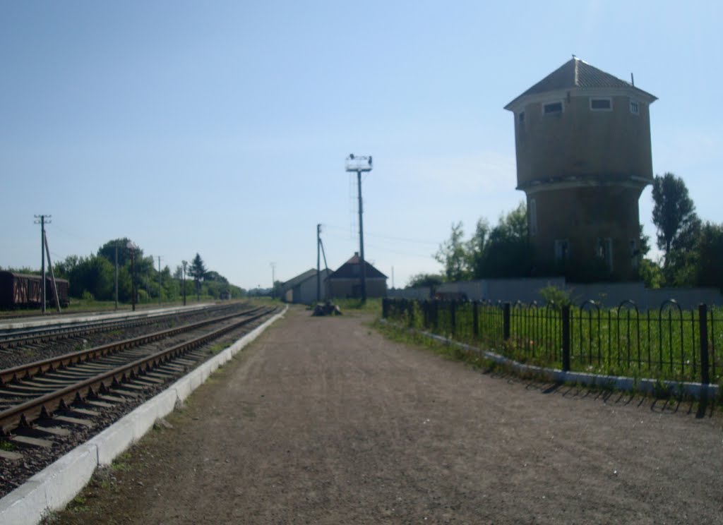 Станция Лановцы. Первая платформа.  Вид в сторону Лепесовки, Лановцы