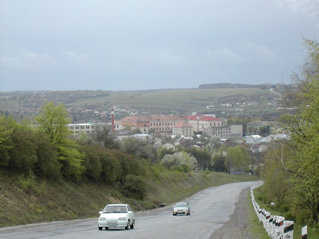 Краєвид міста Монастириська (Panorama of city Monastyryska), Монастыриска